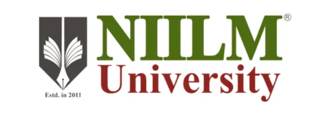 NIILM University